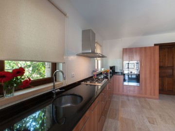 Rollerblind Light Filter